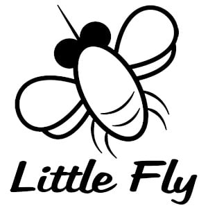 LITTLE FLY