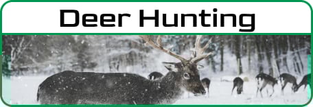 Deer Hunting