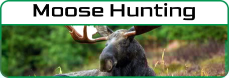 Moose Hunting