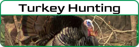 Turkey Hunting