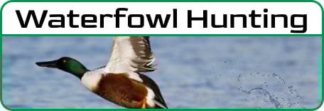 Waterfowl Hutning