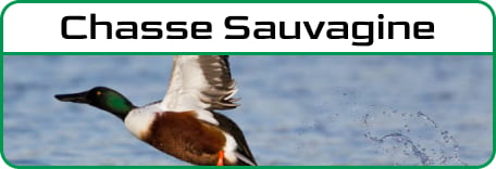 Chasse aux sauvagines