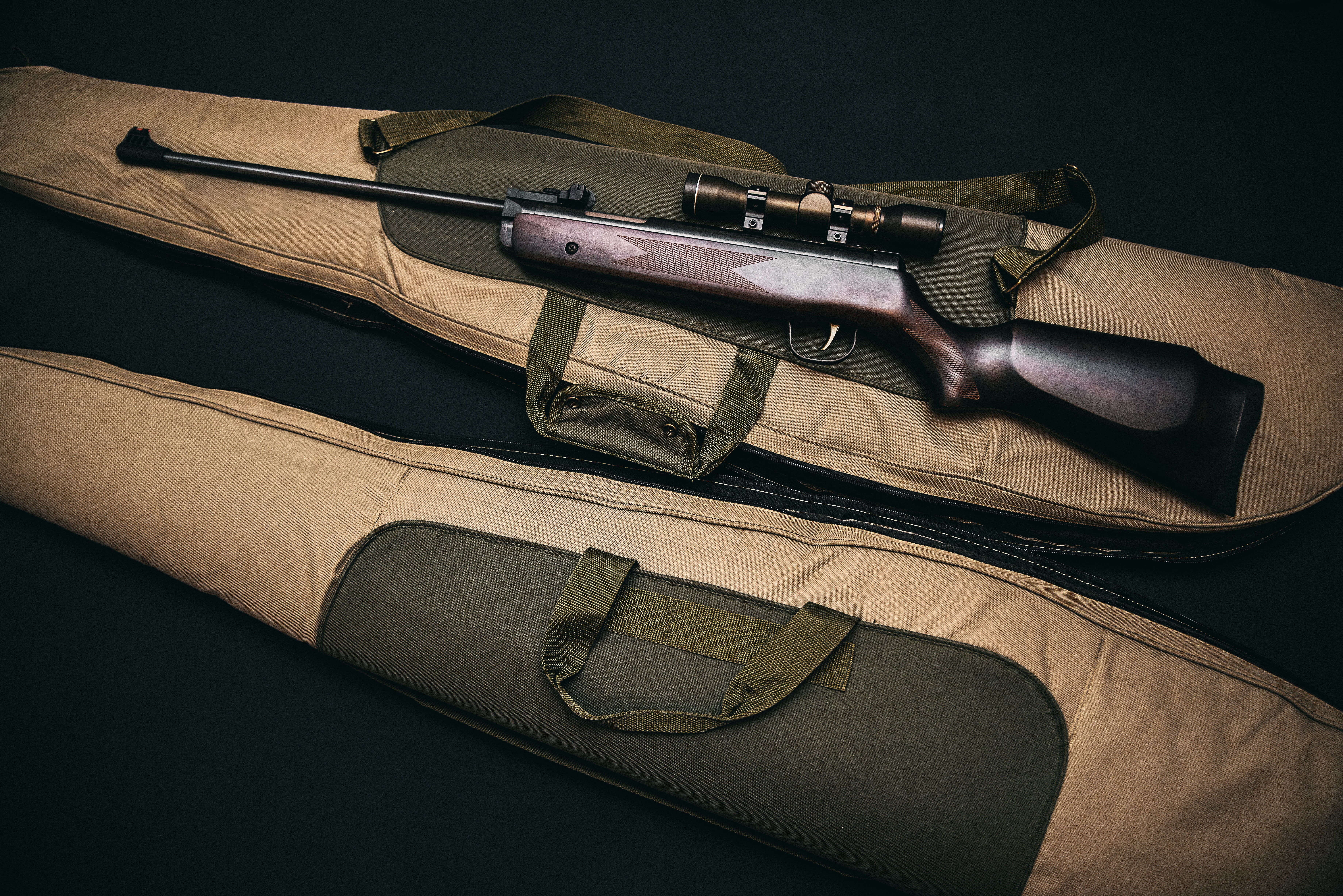 Rifle Rifle