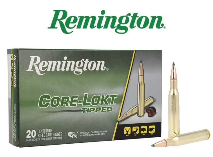 Munitions-Remington-300-Win-Mag