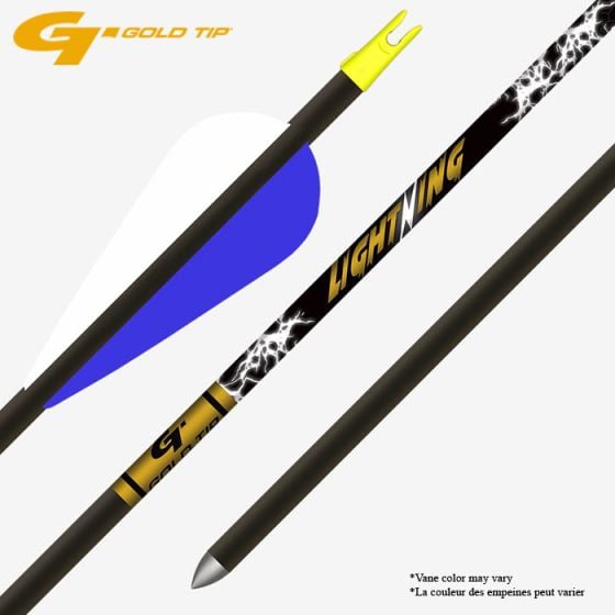 Gold Tip Lightning Youth Arrow 28'' Feather Vanes 2.5'' 1/pack