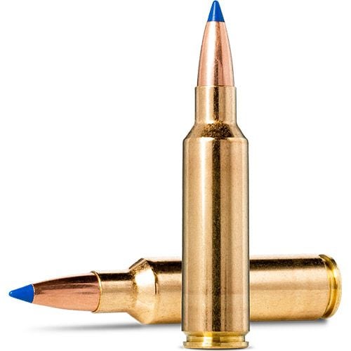 Norma Bondstrike 300 WSM 180 grain Ammunitions