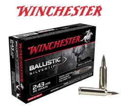 Ballistic-Silvertip-243-Winchester