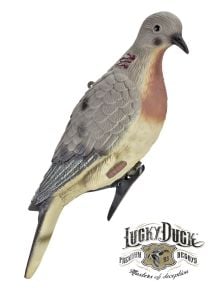 LuckyDuck-Dove-Decoy