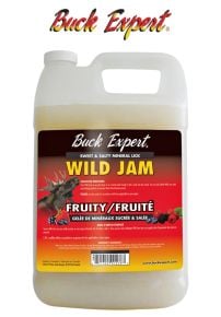 Moose-Wild-Jam