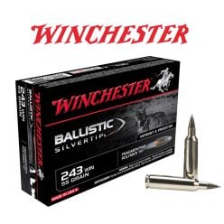 Munitioins-Ballistic-243-Winchester