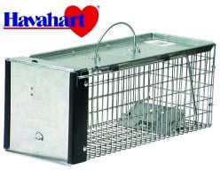 cage-havahart-petite