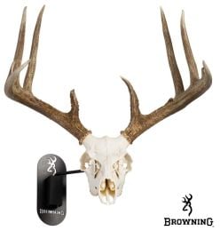 Browning-Deer/Antelope-Euro-Mount