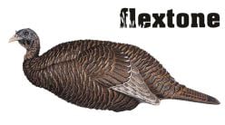 Appelant-à-dindon-femelle-Flextone-Thunder-Chik