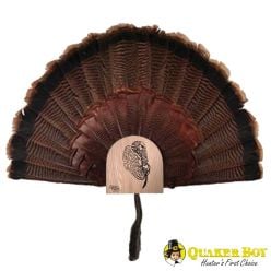 Quaker Boy Mounting plate Turkey Fan Thugs 