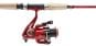 Ensemble-canne-et-moulinet-Rapala