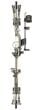 bear-archery-special-edition-legit-rth-rh-70