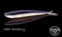 Lunker City 4" Fin-s Fish Lures
