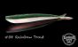 Lunker City 4" Fin-s Fish Lures