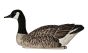 Appelants-flottants-outardes-Topflight