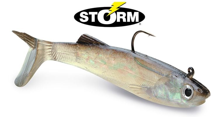 Storm WildEye® Live Anchovy Soft Bait 5'' 5 oz 4/Pack