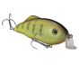 striker-king-hybrid-hunter-jr-clearwater-minnow