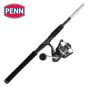 Combo-canne-et-moulinet-Penn-Pursuit-IV-4000