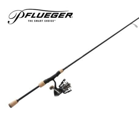 Fishing Rod Pflueger President Xt Baitcaster Pflueger President XT