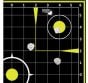 Allen EZ-Aim Non-Adhesive Splash Sight In Grid Targets x 12