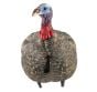 LCD-Quarter-Strut-Jake-Decoy