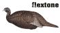 Flextone-Thunder-Chicken-Breeder-Decoy
