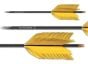 Flu-Flu-6075-Arrow