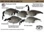 LuckyDuck-Silhouettes-Canada-Goose