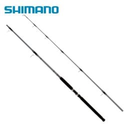 Canne À Lancer Léger Shimano Saguaro 8' Heavy