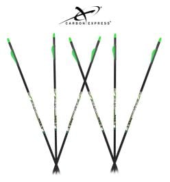 D-Stroyer-PileDriver-.400-Arrows