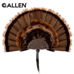 presentoir-eventail-dindon-allen-ez-mount-marron
