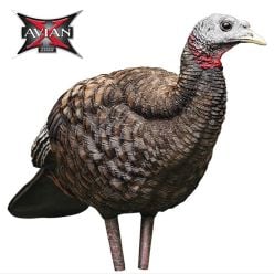 AvianX-LCD-Breeder-Hen-Decoy