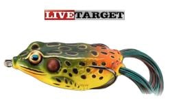 Emerald-Red-Hollow-Body-Frog 