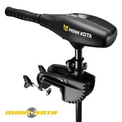 Moteur-pêche-traîne-Endura-Max-55
