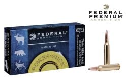 Power-Shok-175gr.-Ammunitions