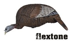 Turkey-chick-feeding-Decoys
