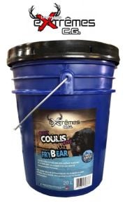Frybear-Anise-Coulis-20L