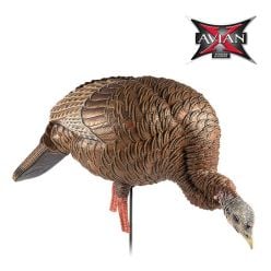HDR-Feeding-Hen-Decoy