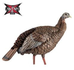 HDR-Hen-Decoy