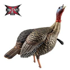 HDR-Jake-Decoy