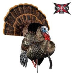 Avian-X-HDR-Strutter-Decoy
