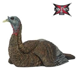 LCD-Laydown-Hen-Decoy