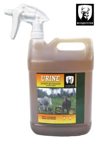 Mare-In-Heat-Urine