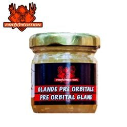 ProXpédition-Synthetic-Sexual-Lure-Moose-Female-in-Heat