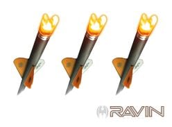 Encoches-illuminées-Ravin