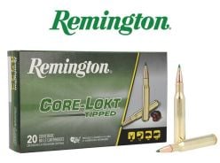 Remington-300-Win-Mag-Ammunitions